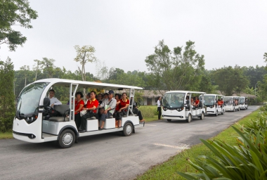 Dịch vụ xe điện