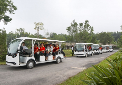 Dịch vụ xe điện